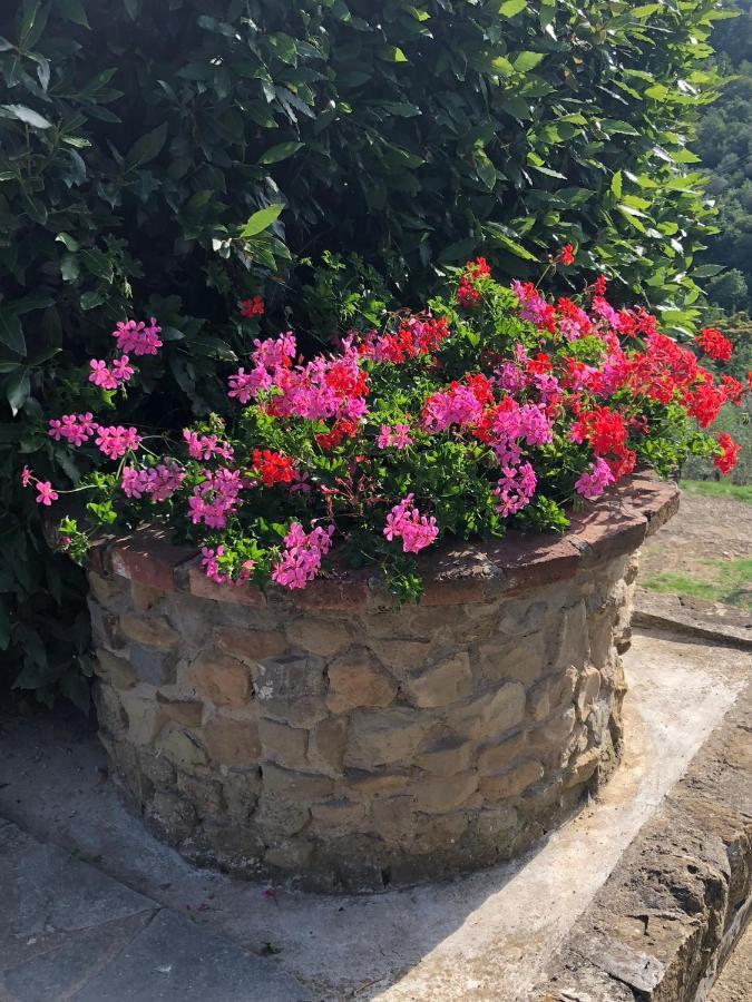 Agriturismo La Casella Castelfranco di Sopra 외부 사진