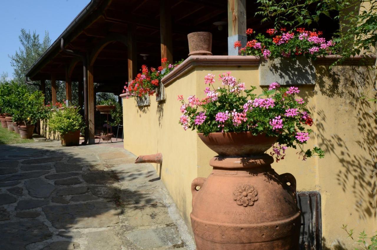 Agriturismo La Casella Castelfranco di Sopra 외부 사진