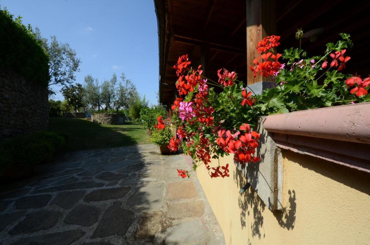 Agriturismo La Casella Castelfranco di Sopra 외부 사진